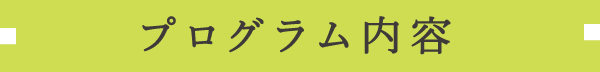 プログラム内容